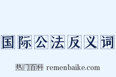 国际公法反义词是什么意思的图片